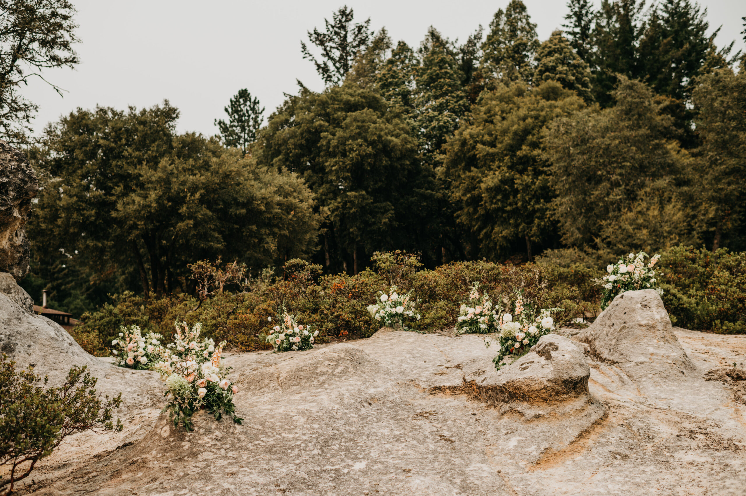 flowers and rocks