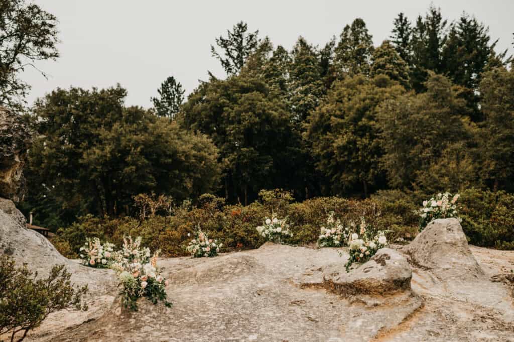 a rock landscape with flowers with trees in the background