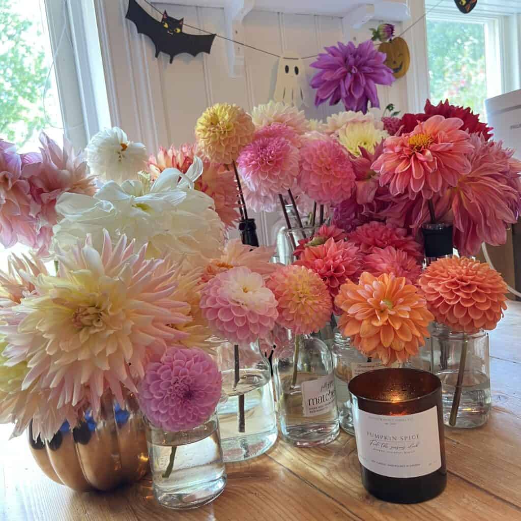 A table filled with dahlias in individual glasses and a pumpkin spice candle on in front