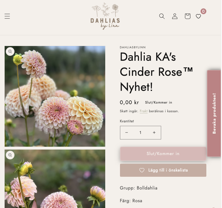 screenshot of product page for dahlias