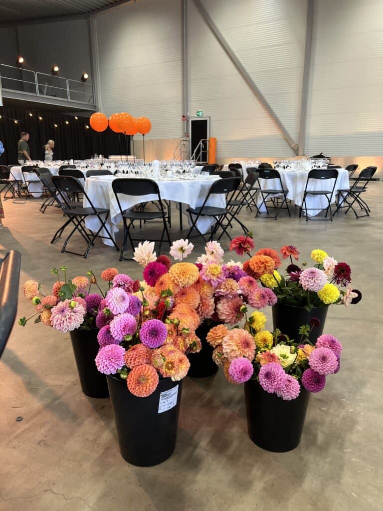 buckets of dahlias at an event space