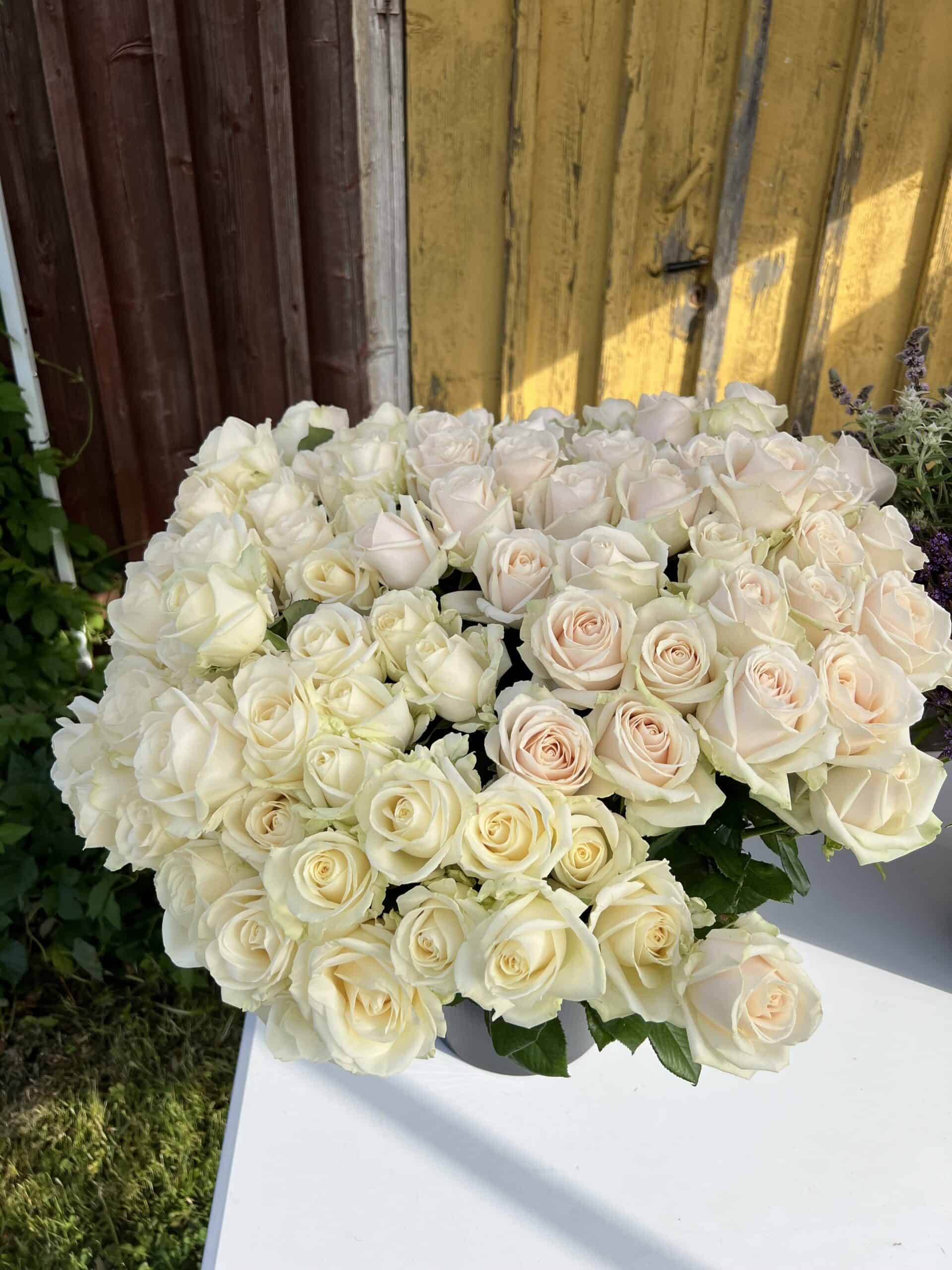 a bucket of roses