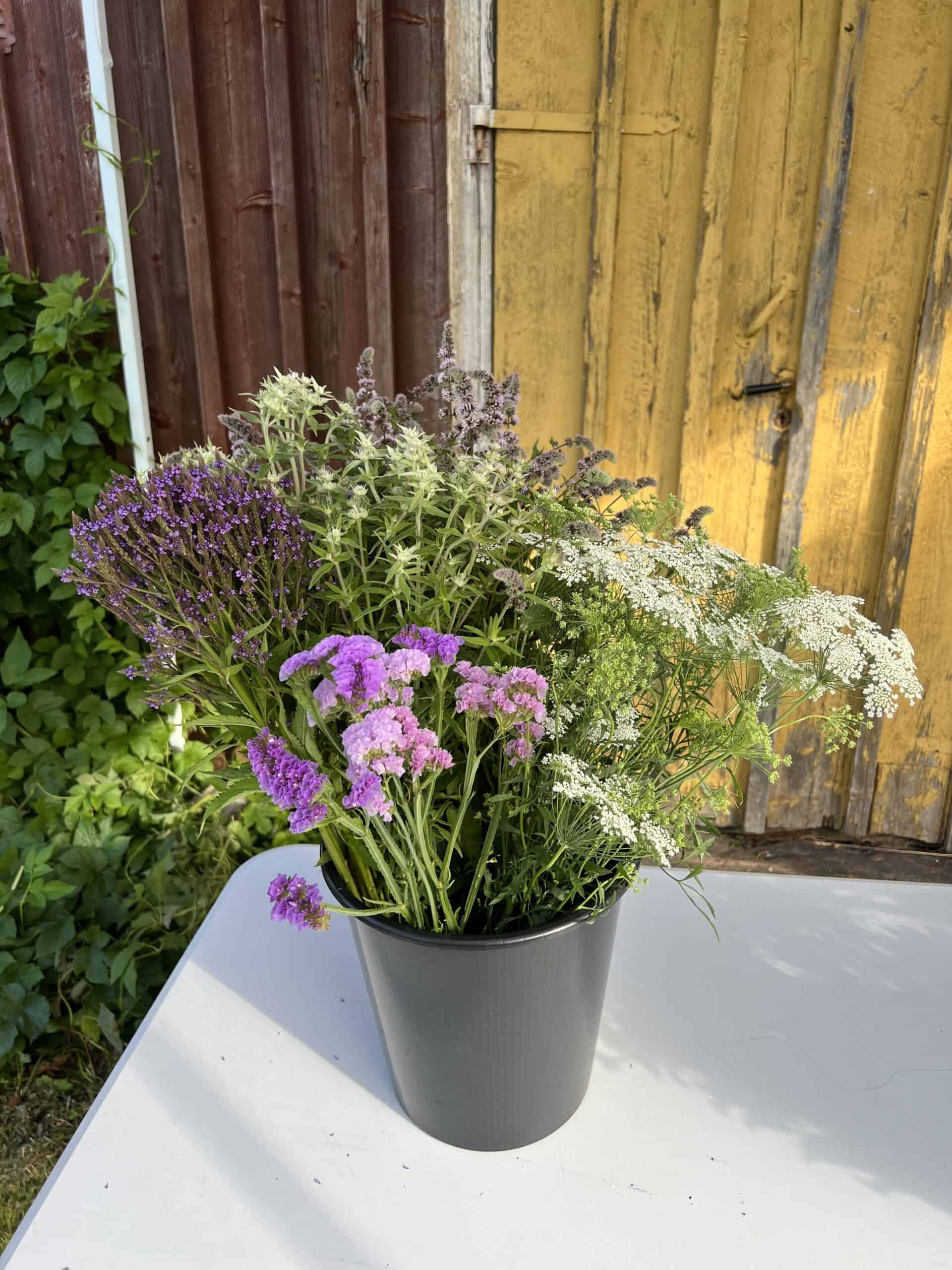 a bucket of mixed flowers