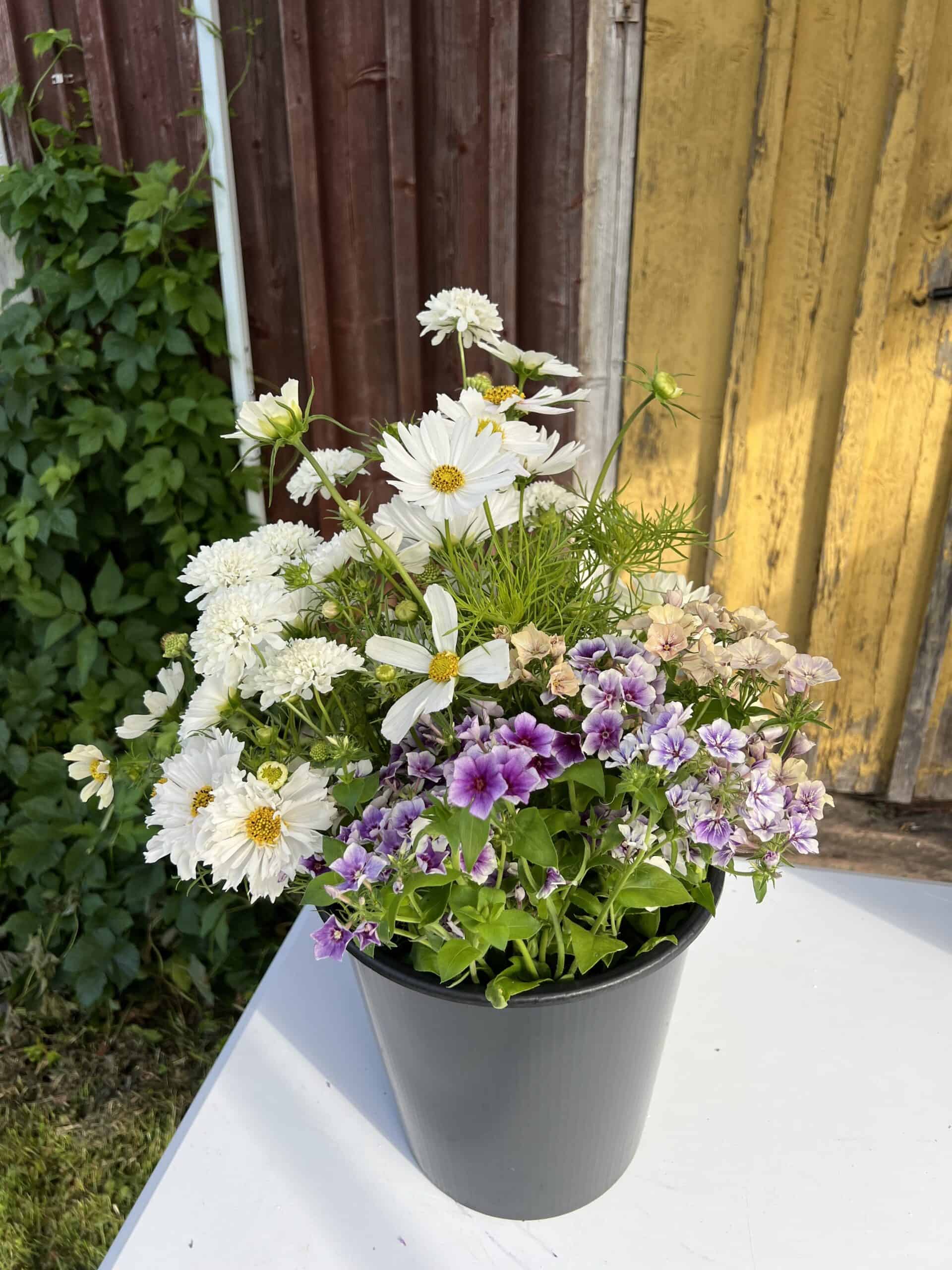 a bucket of mixed flowers & greenery