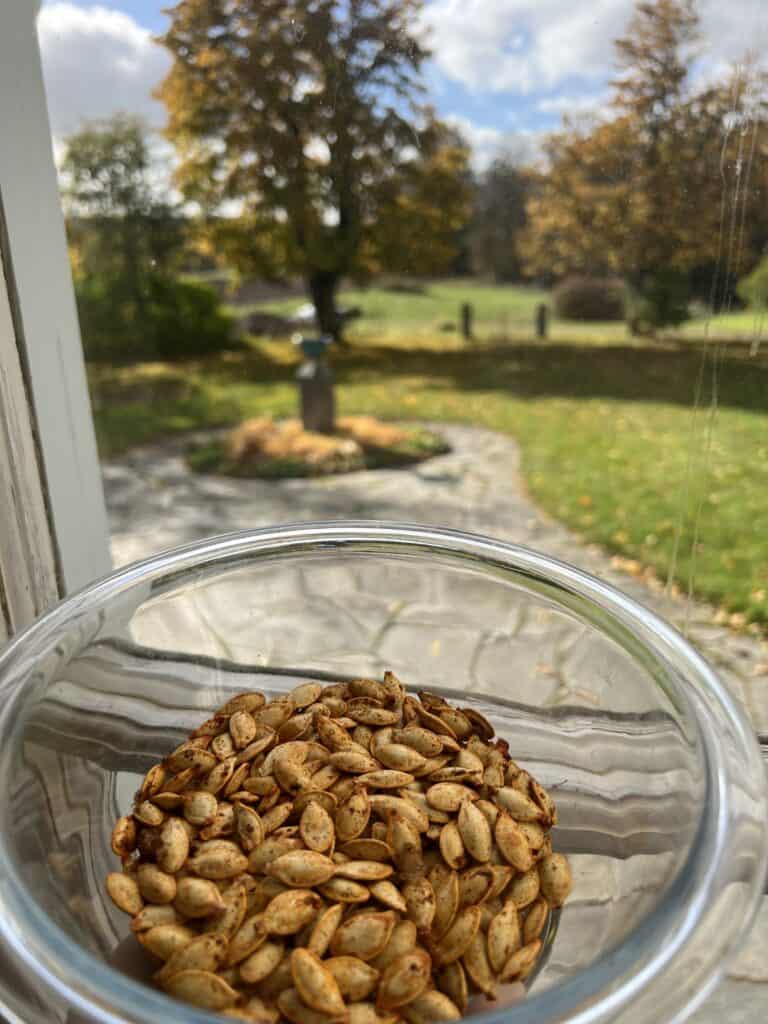 roasted pumpkin sees in a bowl in front of a window looking out at a garden with fall colors